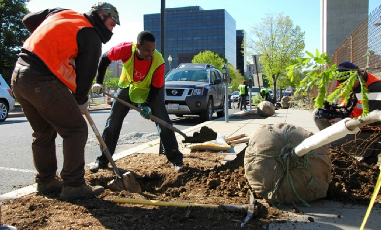 urban heat island mitigation