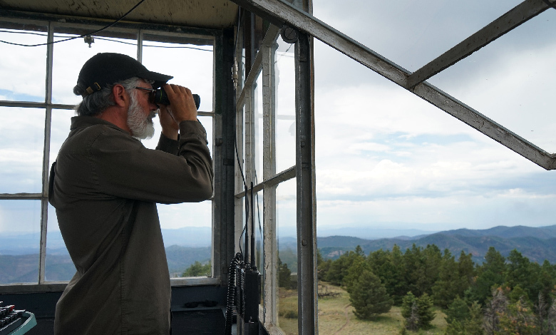 what is the purpose of lookout towers