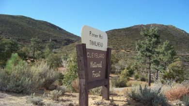 Explore 10 must-know facts about Cleveland National Forest