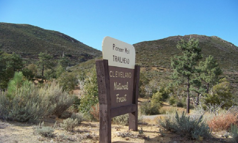 Explore 10 must-know facts about Cleveland National Forest