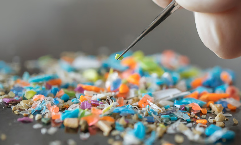 Plastic pollution our biggest threat: Scientists find microplastics in every human placenta tested