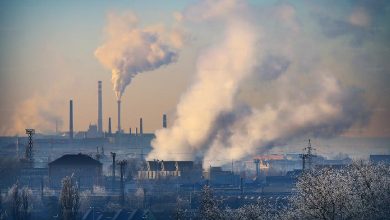 Researchers raise alarm as EU's climate target relies heavily on carbon removal - 'a pipe dream'