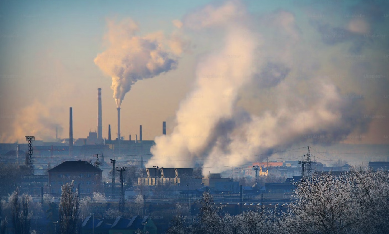 Researchers raise alarm as EU's climate target relies heavily on carbon removal - 'a pipe dream'