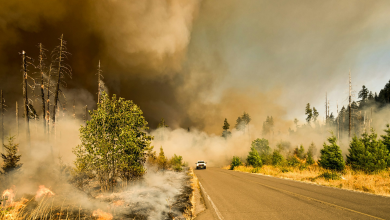 Student debt: Climate change-led natural disasters immensely hurting college students - solutions?