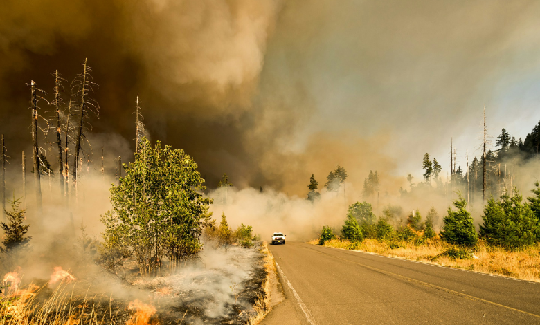 Student debt: Climate change-led natural disasters immensely hurting college students - solutions?