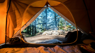 Top 10 Camping Dos and Don'ts Every Adventure Lover Must Know