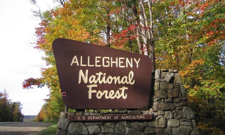 10 interesting facts about Allegheny National Forest