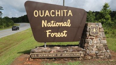 10 interesting facts about Ouachita National Forest