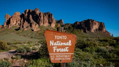 10 interesting facts about Tonto National Forest