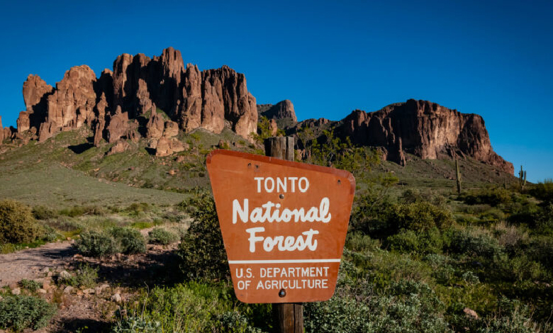 10 interesting facts about Tonto National Forest