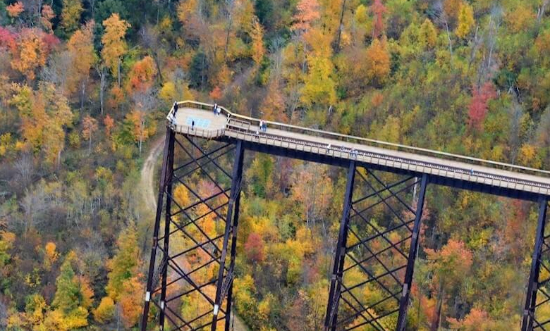 kinzua sky walk