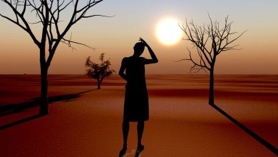 Climate crisis study shows West Africa heatwave greatly intensified