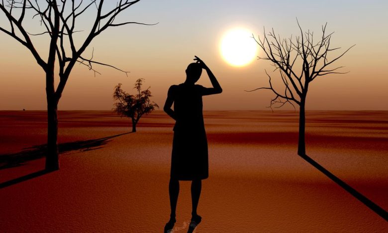 Climate crisis study shows West Africa heatwave greatly intensified