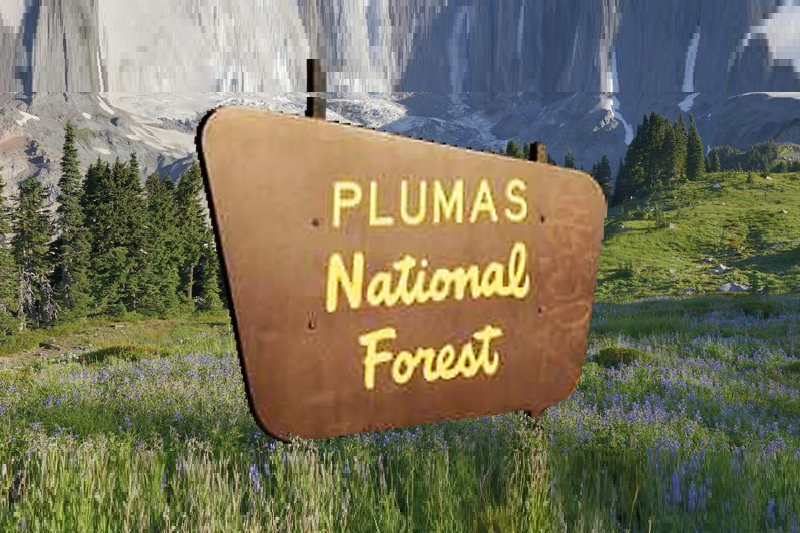 Explore top 10 facts about Plumas National Forest