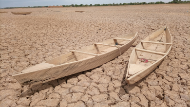 This portion of human population suffers first during droughts in poor and rural areas