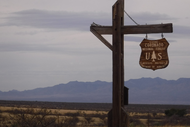 Top 10 facts about Coronado National Forest