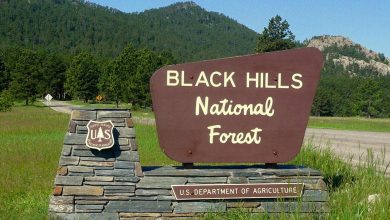 Top 10 Interesting Facts about Black Hills National Forest People Should Know