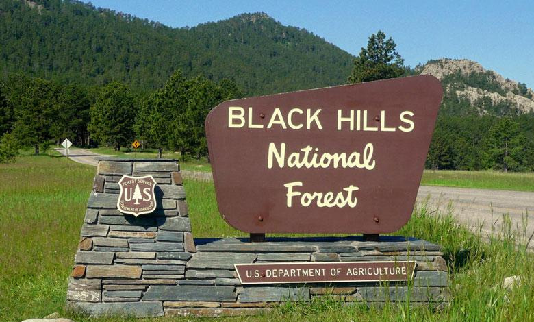 Top 10 Interesting Facts about Black Hills National Forest People Should Know