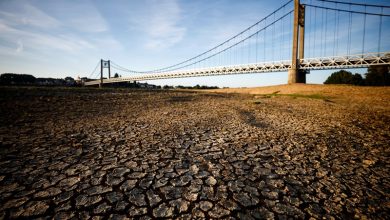 file photo: cracked and dry earth is seen in the wide riverbed of the loire river in ancenis saint gereon