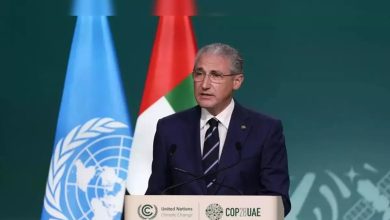 uae takes lead in climate finance preparing for cop29