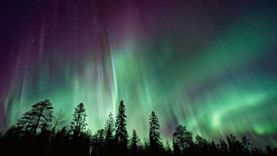 Illuminating the Skies: Exploring the Climate Connections of Northern Lights in North America