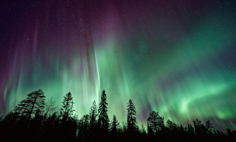 Illuminating the Skies: Exploring the Climate Connections of Northern Lights in North America