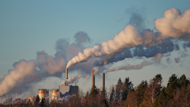 Researchers link air pollution to reduced estrogen levels during menopause transition