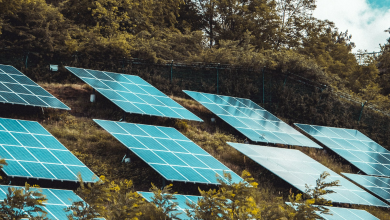 Solar energy not letting climate change threaten female farmers' crops and income anymore