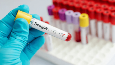 Dengue fever on the rise: Climate crisis changing the concept of seasonal diseases