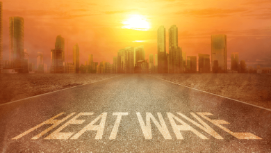 Lack of meaningful political action to stop climate change making heatwaves deadlier
