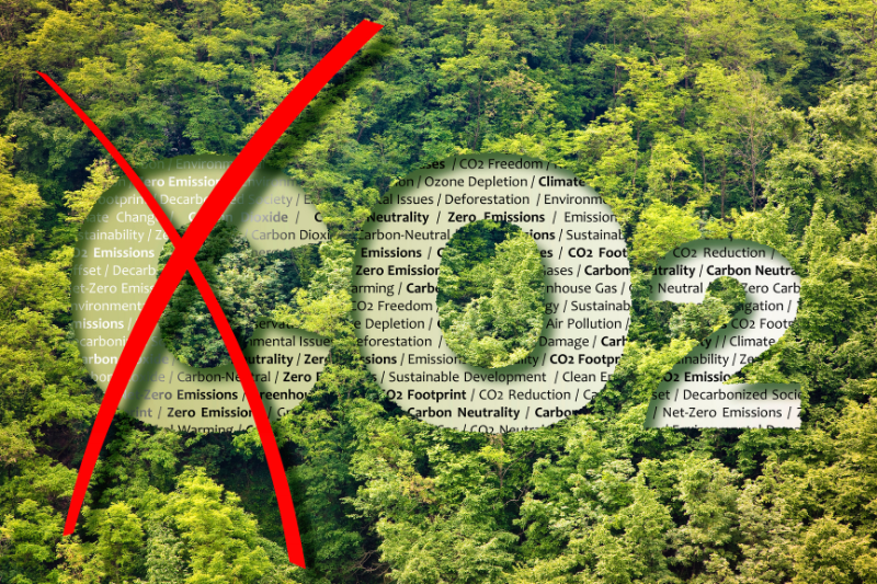 Amazon Rainforest,10 fun facts,largest rainforest in the world.