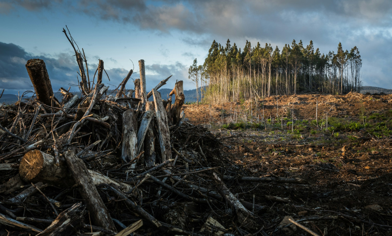 Nearly 50% of journalists covering climate change globally received threats