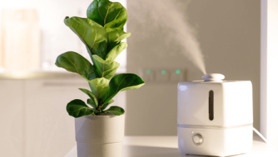 5 Safe and Earth-Friendly Air Fresheners for a Happier Home