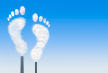 Five top steps you can take to reduce your carbon footprint