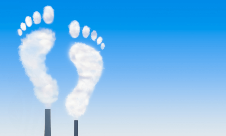 Five top steps you can take to reduce your carbon footprint