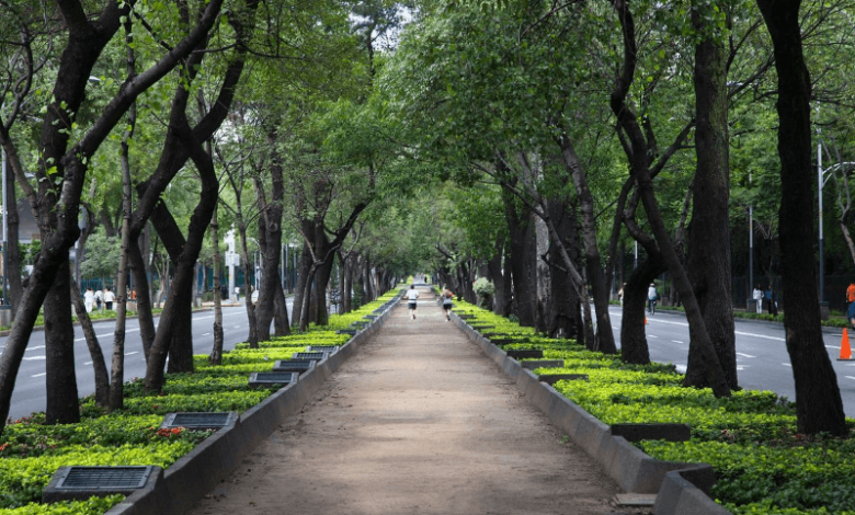 green-ring-around-cities-can-make-them-cooler