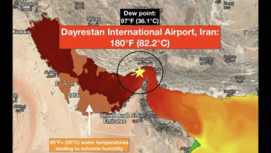 this village in iran just recorded a dangerous 82 2c heat index should you be concerned