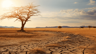 top 10 driest cities in the us in 2024