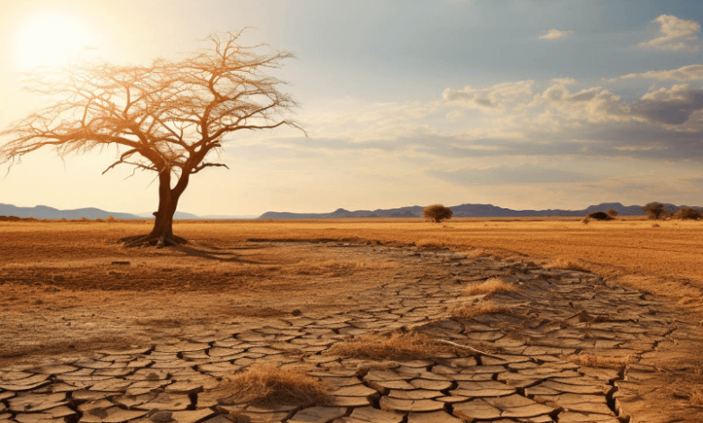 top 10 driest cities in the us in 2024