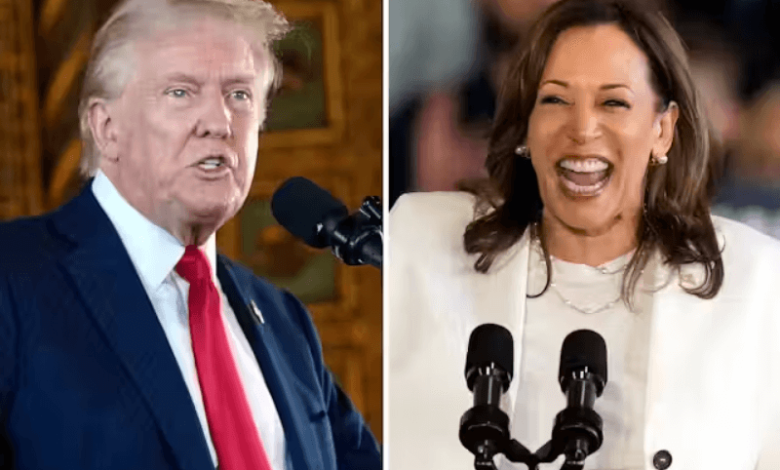 trump-and-harris-have-very-different-ideas-about-climate-change (2)