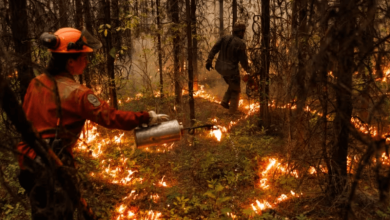 canada needs to slash carbon emissions by half by 2035