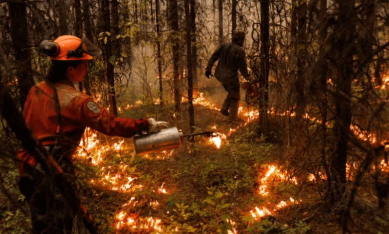 canada needs to slash carbon emissions by half by 2035