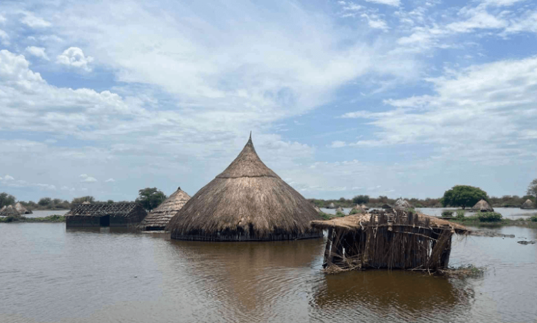 is-south-sudan-seeing-the-first-permanent-mass-displacement-due-to-climate-change