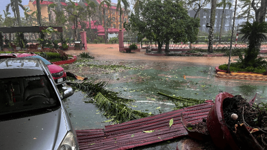 typhoon yagi spells massive devastation in vietnam as death toll rises to 197