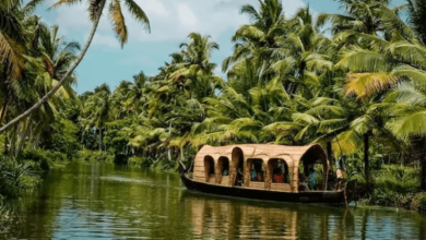 understanding the value of kerala designating 25 tourist spots as green tourism destinations