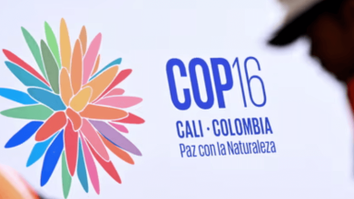 cop16 host nation colombia pushes for inclusivity at un biodiversity summit