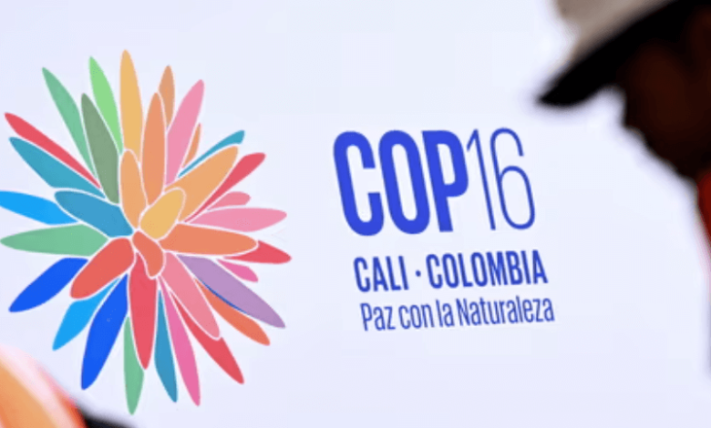 cop16 host nation colombia pushes for inclusivity at un biodiversity summit