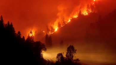 global heating linked to 12000 additional deaths annually from wildfire smoke study reveals