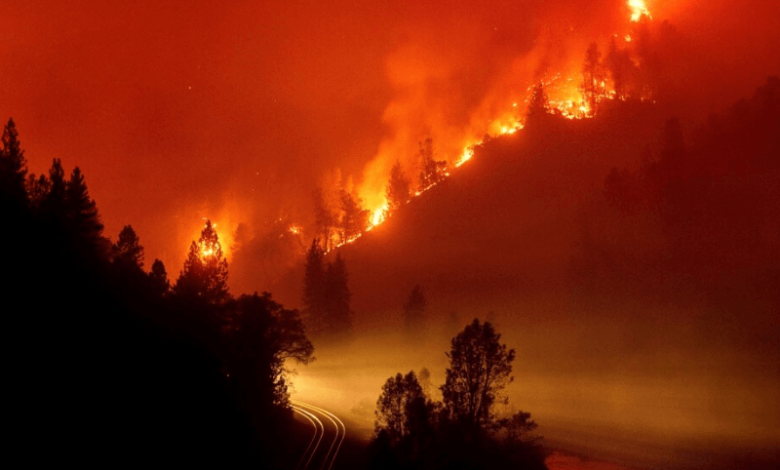 global heating linked to 12000 additional deaths annually from wildfire smoke study reveals