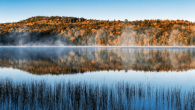 the earths colors are changing and climate change could be blamed